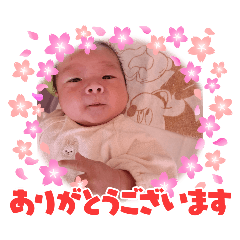 sally.y_20260430164833