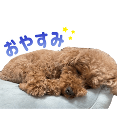 Yoppi_20260430164503