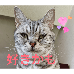 purinmaron_20260430164517