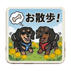 qoo &meru_20260430165916