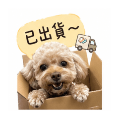 /出貨專用/