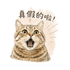 我可愛的Lumi