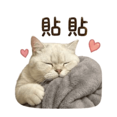依依小貓貓