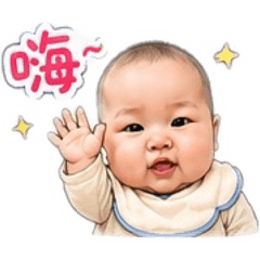 小河馬 1