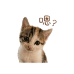 小發發_