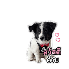 Nongpandakub