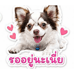 Namostickerkub