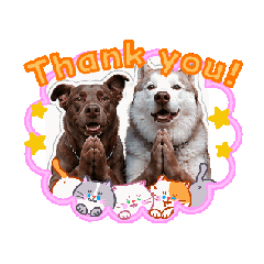 Talay & Kaolad Stickers