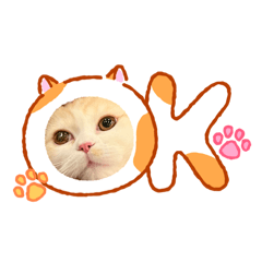 Shigeyuki_20260430180534