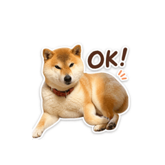 azuki_20260430175837
