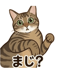 YO KU_20260430180949