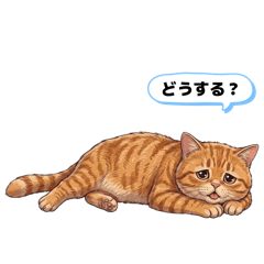 Miki_20260430181509