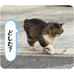 CHERIE_1010