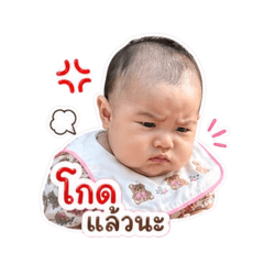 Aida_20260428080357