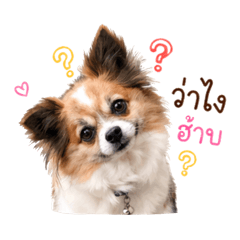 Namcha_CHACHA_20260430042646