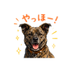 SHIORI_20260430074727