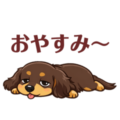 ...koara..._20260430075644