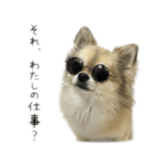 kosameme09