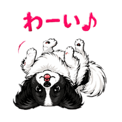 satomin_20260430082048