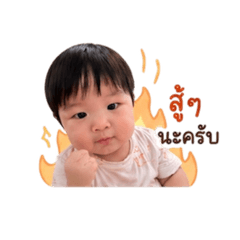 BaoBao v1