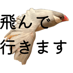 Sakutaro_20260429225601