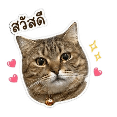 linny_20260429193829