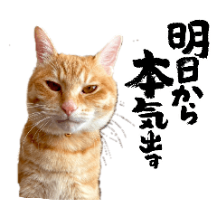 Sakura_20260429225943