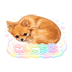 Kyarameru_L_20260429225853