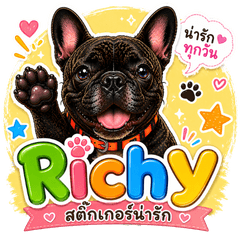 Richy The French Bulldog