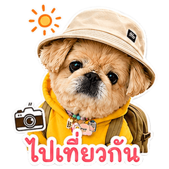 Paotung - Peke Dog