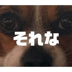 asaka_20260430085528
