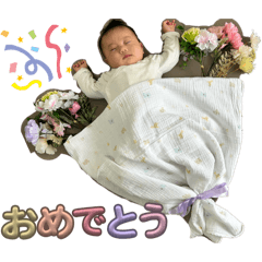 komorebi_20260430091130