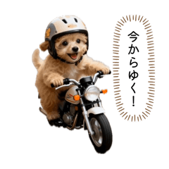 ami_20260430090206
