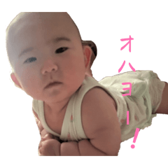 sowa_20260430103832