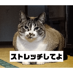 souuuuuuuta_20260430103511