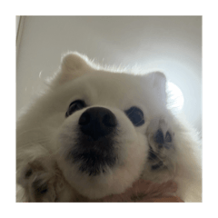 Berry_20260430103638