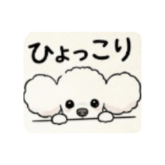 uedashiminn_20260430105235
