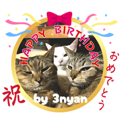 NyanTT_20260430104028