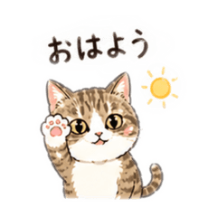 ricotaro1217_20260425151335