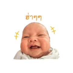 Sunnyv.2