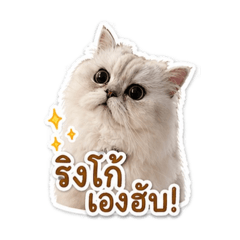 Yen_20260428072834