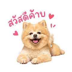 Thanwa_20260428232814