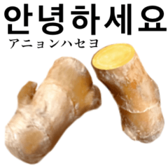 Flesh Ginger 11