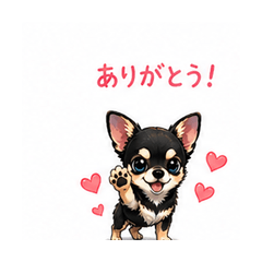 Kuro Chihuahua Daily Stickers 2