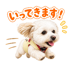 yomogi_20260429231113