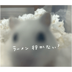 is0q_20260430004109