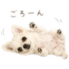 mari_20260430003002