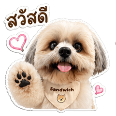 Sandwich l love you papa
