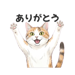 mikeman22_20260430120323