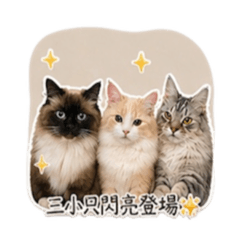 punita日常生活2.0